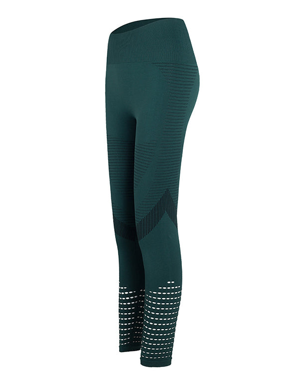 Seamless Mesh High Waisted Leggings